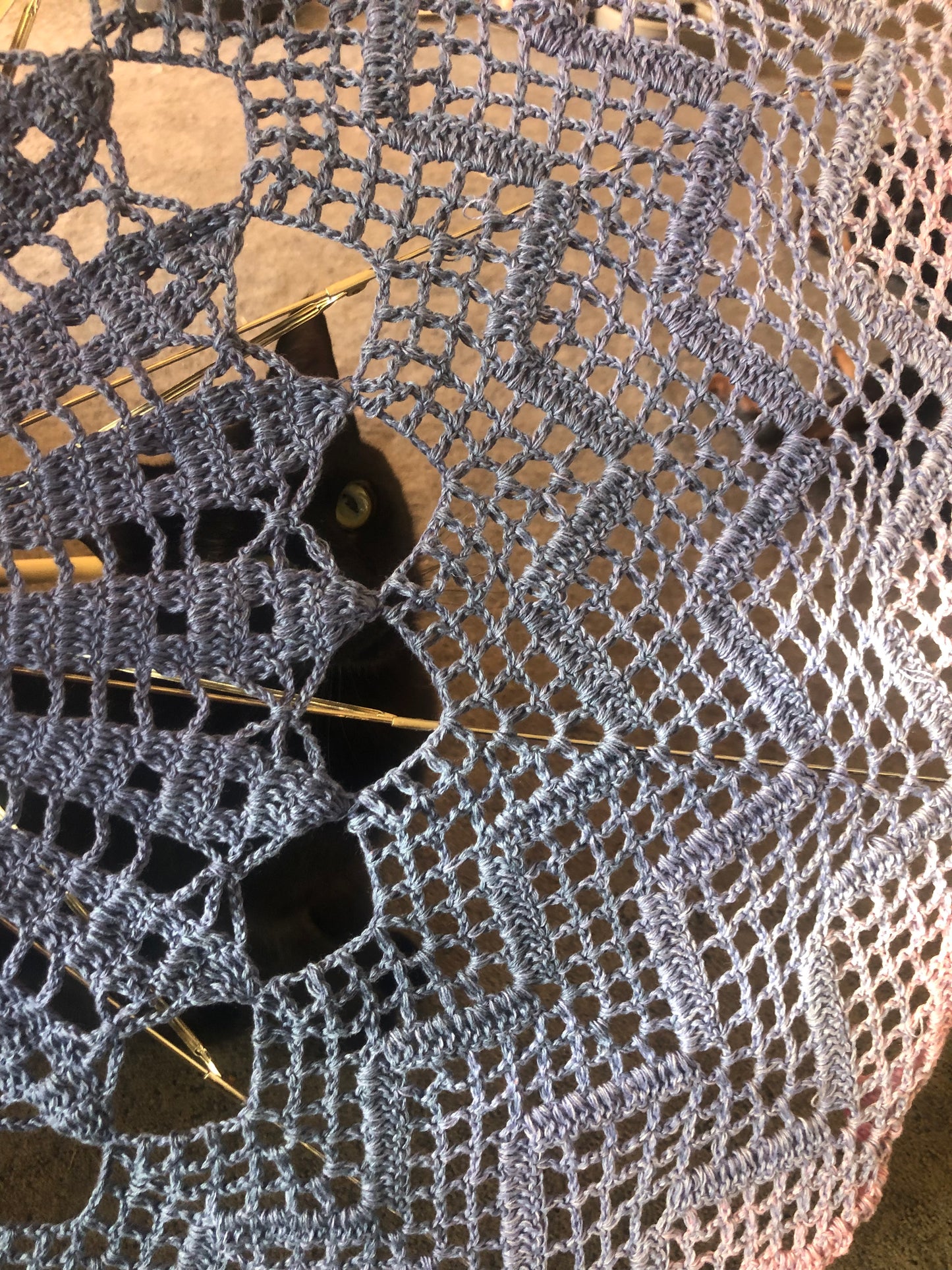 Blue Chevron with Pink Edging 33" Parasol - Stitchy Frood